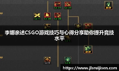 3377体育