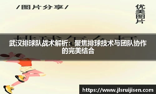 3377体育官网